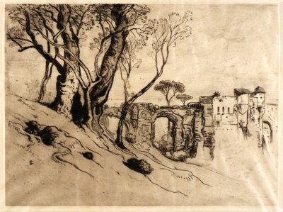 Gli ulivi della Riviera (dal portfolio Venti originali). da Samuel Colman
