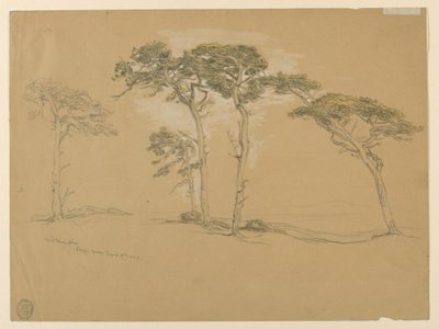 Pini al vento, Pacific Grove. Verso: Strada costiera del Pacifico verso Point Sur. da Samuel Colman