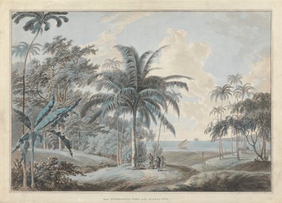 Vicino a Eucheconing Point, Giava da Samuel Daniell