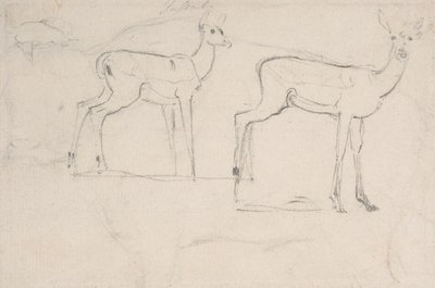 Studio per Due Pallah in Piedi da Samuel Daniell