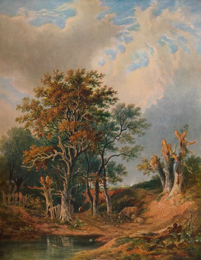 Paesaggio, 1847 da Samuel David Colkett
