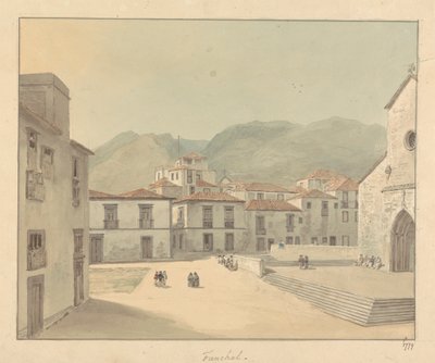 Funchal, Madeira: Una Piazza con una Chiesa da Samuel Davis