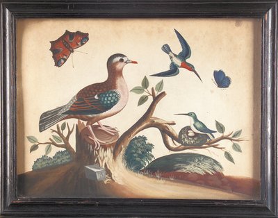 Colomba dalle ali verdi, con colibrì dalla gola rossa, farfalla pavone e farfalla ultramarina da Samuel Dixon