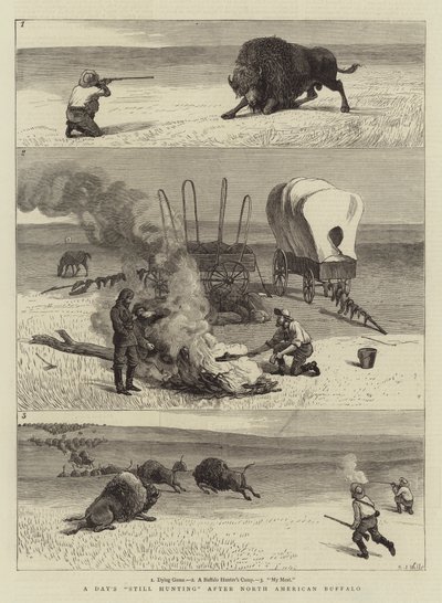 Una giornata di caccia al bufalo nordamericano da Samuel Edmund Waller