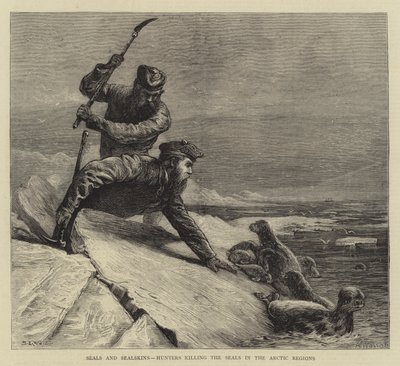 Foche e pellicce di foca, cacciatori che uccidono le foche nelle regioni artiche da Samuel Edmund Waller