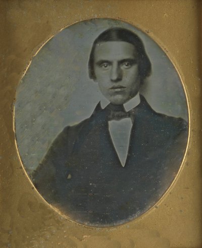 Ritratto di un giovane uomo da Samuel Finley Breese Morse