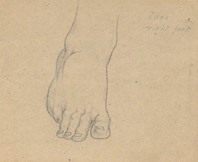 Studio per il Giudizio di Giove (Idas, piede destro) da Samuel Finley Breese Morse