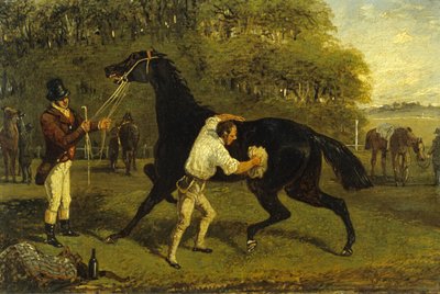 Strigliatura da Samuel Henry Alken