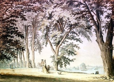 Alberi sul Tamigi di fronte a Hammersmith da Samuel Hieronymous Grimm