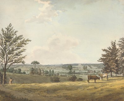 Englefield House, Berkshire da Samuel Hieronymus Grimm