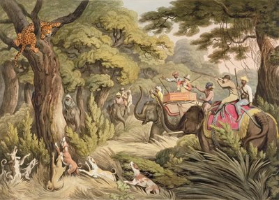 Caccia a un leopardo, da Oriental Field Sports, pub. da Edward Orme, 1807 da Samuel Howett