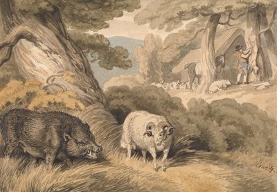Un cinghiale e un ariete da Samuel Howitt
