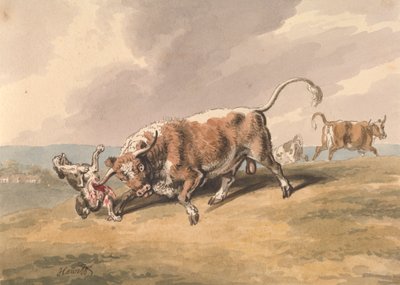 Un toro che attacca un cane da Samuel Howitt
