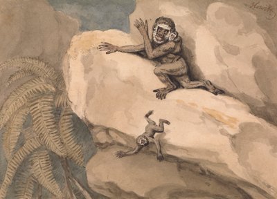 Una scimmia e il suo piccolo da Samuel Howitt