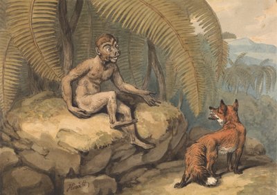 Una Scimmia e una Volpe da Samuel Howitt