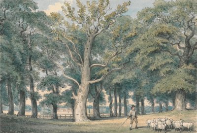 Paesaggio di un parco con pastore e pecore da Samuel Howitt
