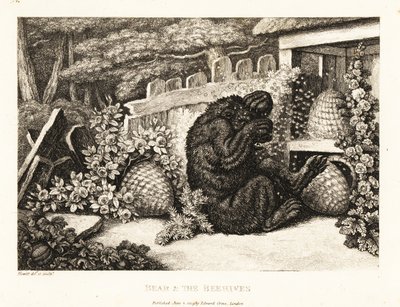 Un orso bruno attaccato da un esercito di api. 1811 (incisione) da Samuel Howitt
