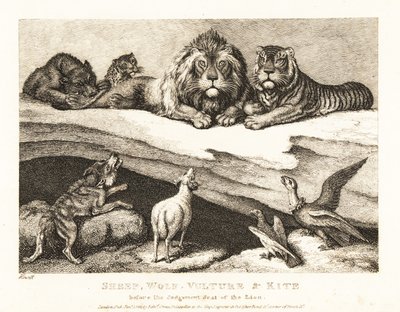 Un processo tra animali, con leone e tigre come giudici da Samuel Howitt