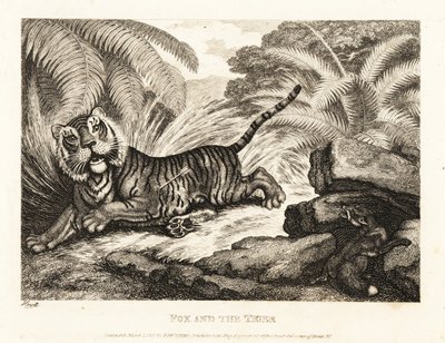 Una volpe osserva una tigre ferita. 1811 (incisione) da Samuel Howitt