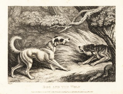 Un cane domestico con un collare offre cibo a un lupo affamato. 1811 da Samuel Howitt