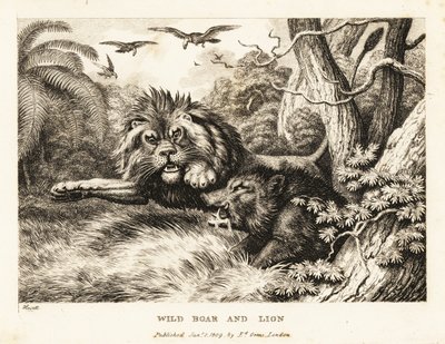 Un leone e un cinghiale selvatico combattono mentre gli avvoltoi girano sopra. 1811 (incisione) da Samuel Howitt