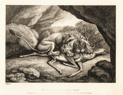 Un leone che mangia la carcassa di un cervo in una caverna. 1811 (incisione) da Samuel Howitt