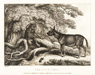 Una scimmia e un asino gemono finché una talpa li zittisce. 1811 (incisione) da Samuel Howitt