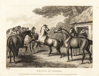 Un giovane puledro cerca di fomentare un ammutinamento nelle stalle. 1811 (acquaforte) da Samuel Howitt