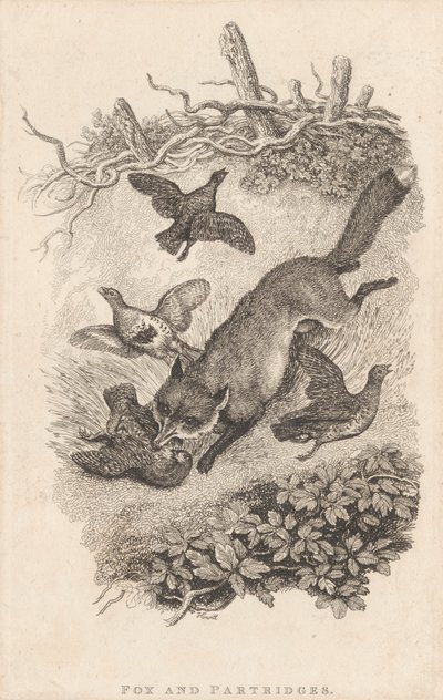 Volpe e pernici da Samuel Howitt