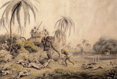 Caccia al Kuttauss o Gatto Civetta da Samuel Howitt