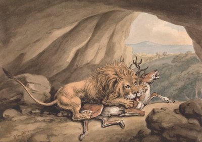 Leone che Attacca un Cervo da Samuel Howitt