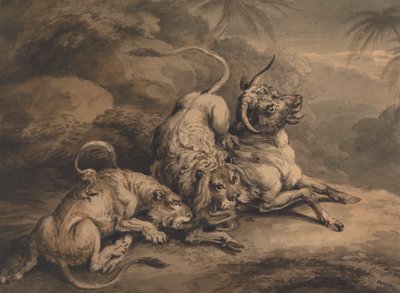 Leone e leonessa che attaccano un bue da Samuel Howitt