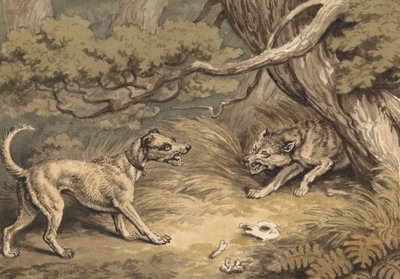 Il cane e il lupo da Samuel Howitt