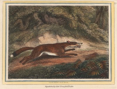 La Volpe Cacciata da Samuel Howitt