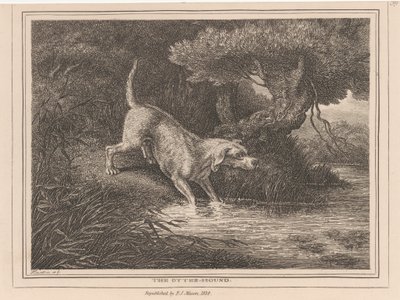 Il cane da lontra da Samuel Howitt