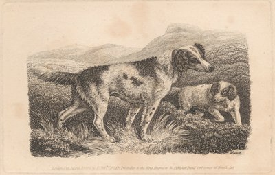 Due cani da Samuel Howitt