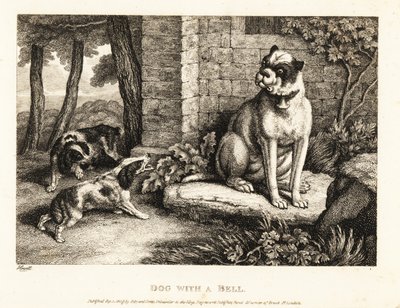 Due spaniel che abbaiano a un bulldog con una campana al collo. 1811 (incisione) da Samuel Howitt