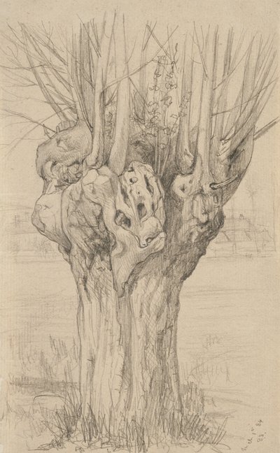 Albero nodoso, 1884 da Samuel Isham