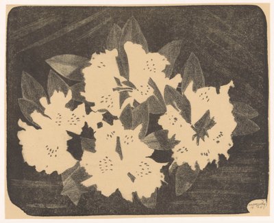 Rhododendron da Samuel Jessurun de Mesquita (signed by artist)