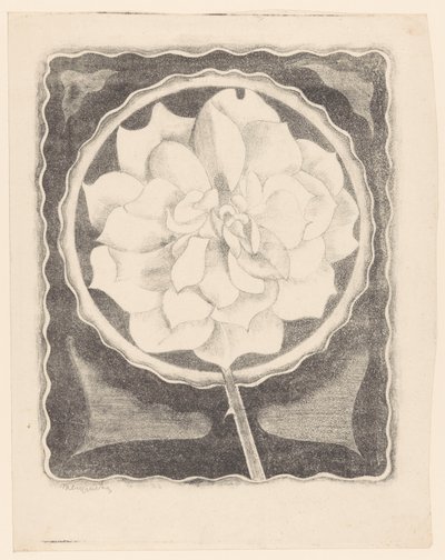 Rosa (in cerchio, con bordo ondulato) da Samuel Jessurun de Mesquita (signed by artist)