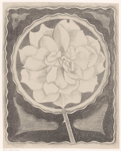 Rosa da Samuel Jessurun de Mesquita (signed by artist)