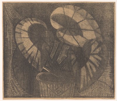 Begonia foglia da Samuel Jessurun de Mesquita