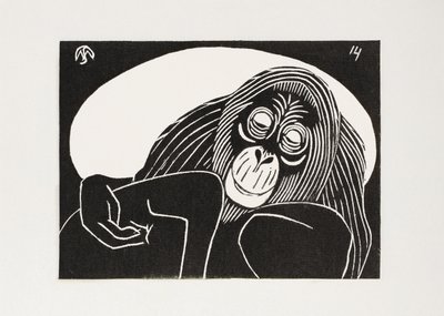 Orangutan da Samuel Jessurun de Mesquita