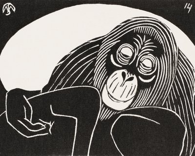 Orangutan da Samuel Jessurun de Mesquita