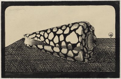 Conchiglia, verso sinistra da Samuel Jessurun de Mesquita