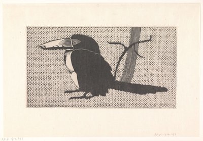 Tucano da Samuel Jessurun de Mesquita