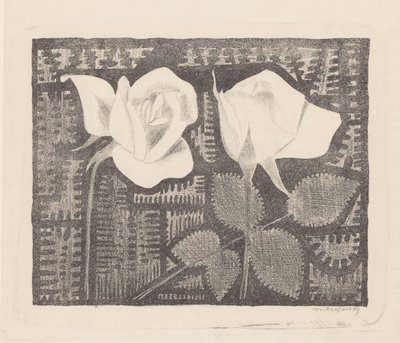 Due rose da Samuel Jessurun de Mesquita