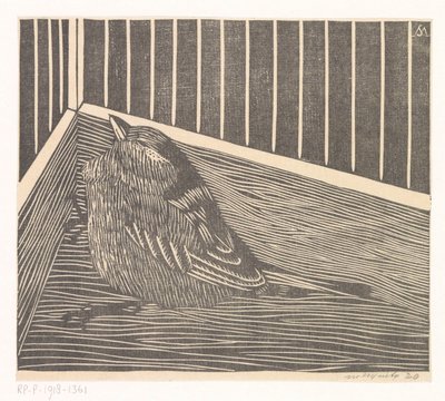 Uccello in un angolo di una gabbia da Samuel Jessurun de Mesquita