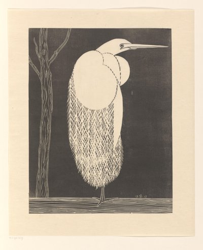 Airone bianco da Samuel Jessurun de Mesquita