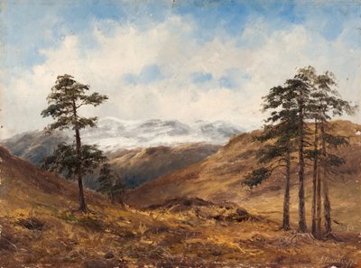Vicino a Balmoral, 1893 da Samuel John Barnes
